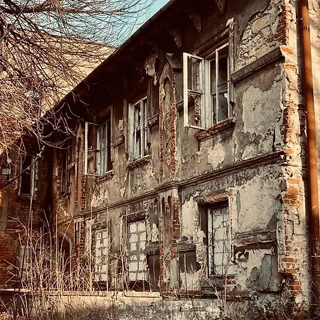 Apartment Krakowskie 1